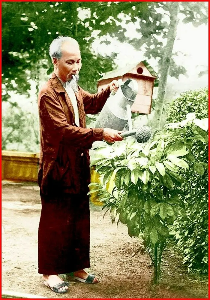 Chủ đề tháng 7: Bác Hồ với môi trường – Bài học từ “Tết trồng cây” đến việc bảo vệ thiên nhiên