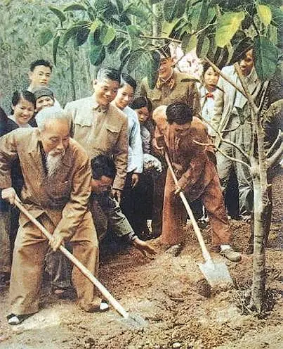 Chủ đề tháng 7: Bác Hồ với môi trường – Bài học từ “Tết trồng cây” đến việc bảo vệ thiên nhiên