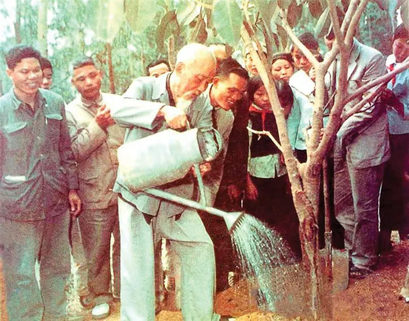 Chủ đề tháng 7: Bác Hồ với môi trường – Bài học từ “Tết trồng cây” đến việc bảo vệ thiên nhiên
